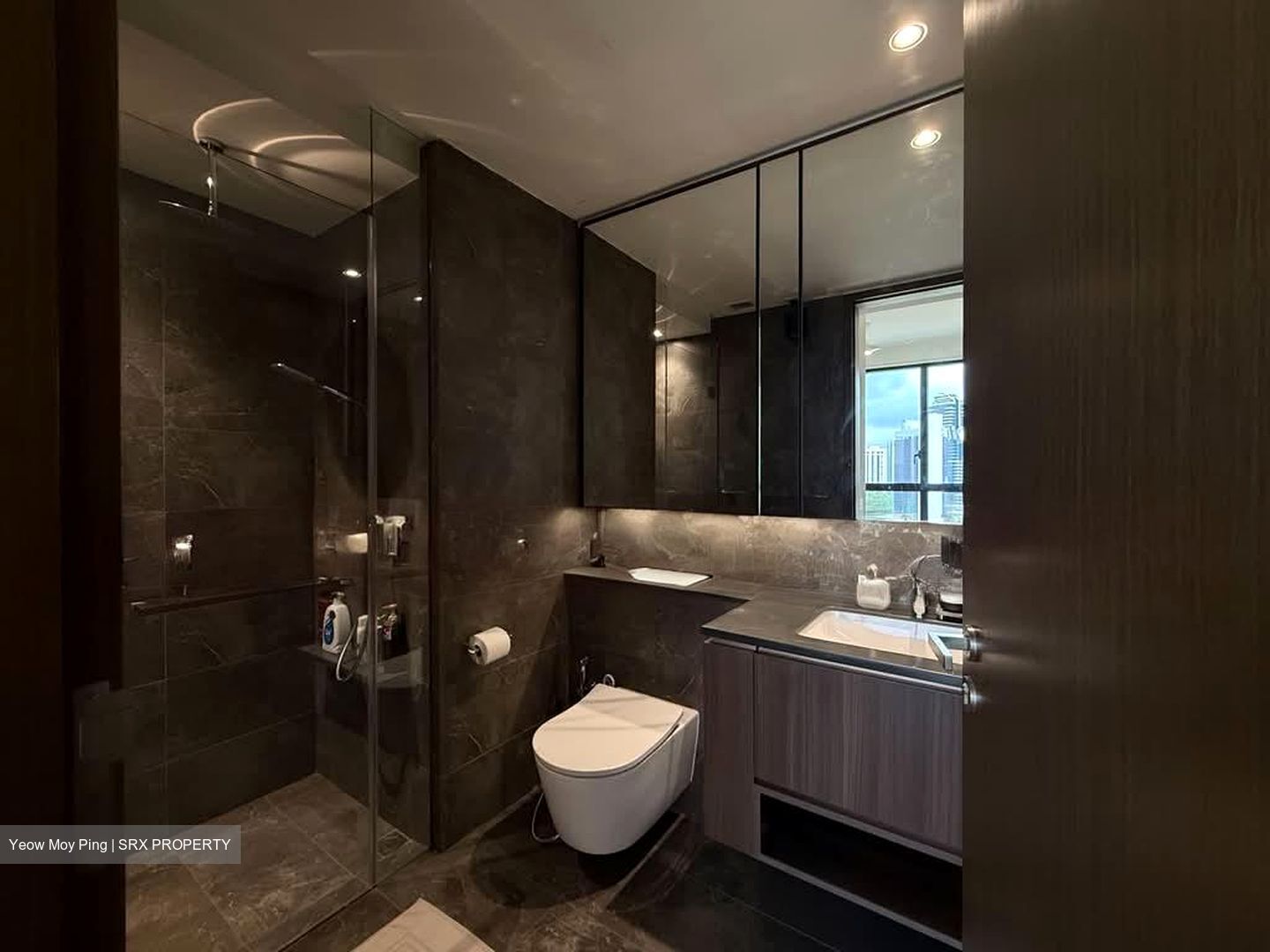 Kopar At Newton (D9), Apartment #565158601